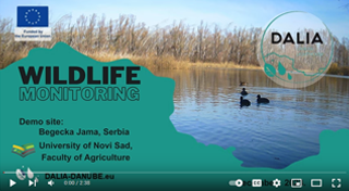 Dalia project Wildlife monitoring - Begecka Jama 